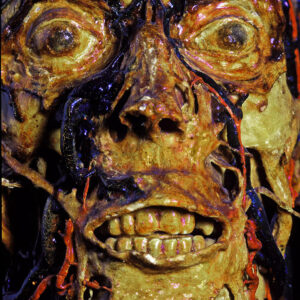 faceclose